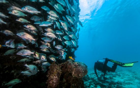 Corn Islands, An Enchanting Diving Oasis