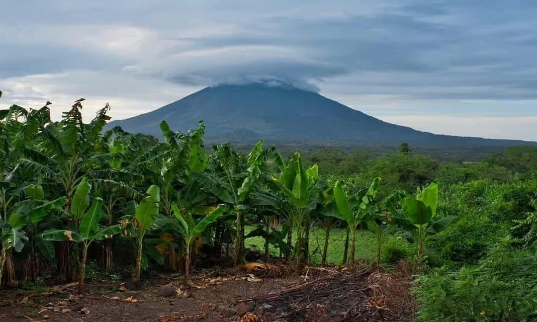 Investing in Nicaragua