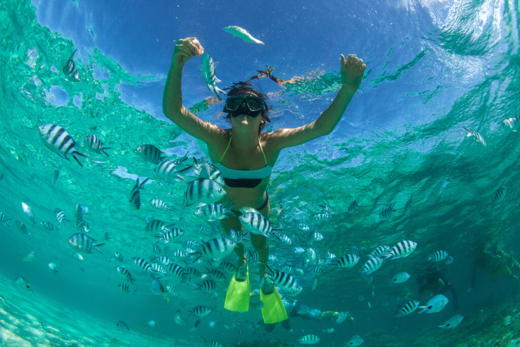 Big Corn Island Snorkeling