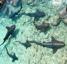 Spekito Place Big Corn Island