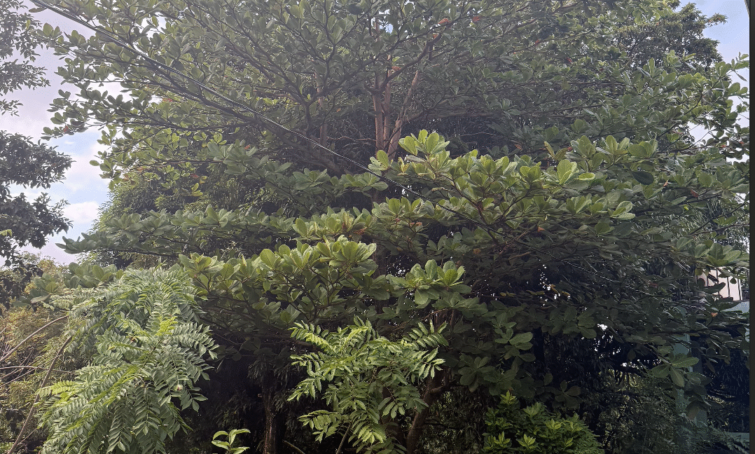 Screenshot 2026-02-23 at 11.11.37 PM