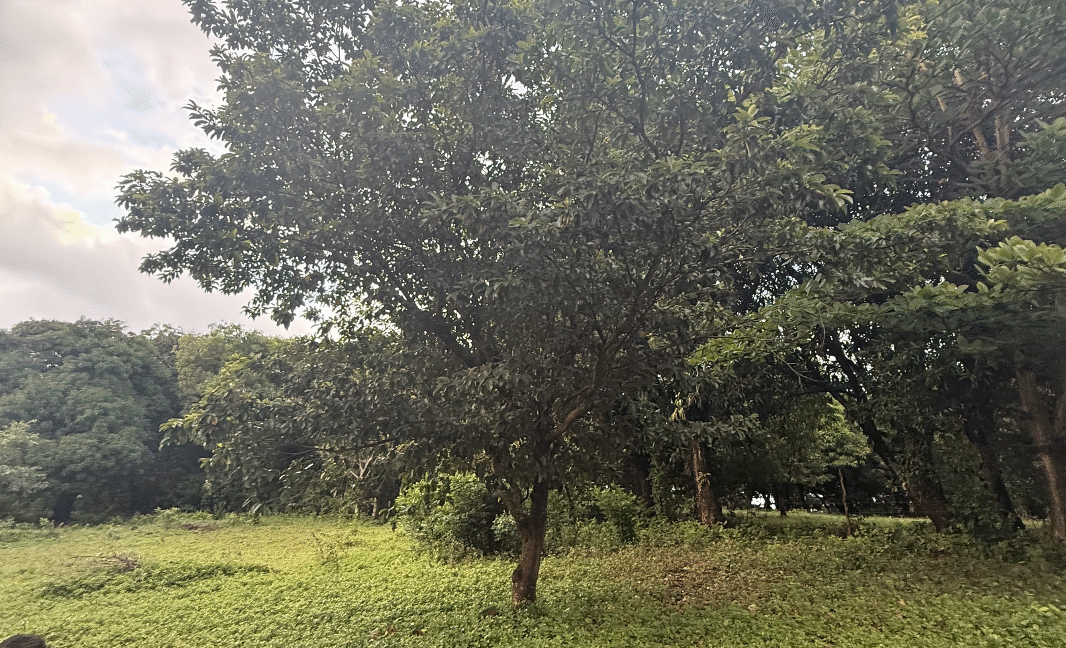 Screenshot 2026-02-23 at 11.11.51 PM