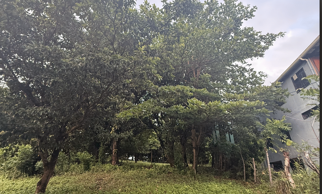 Screenshot 2026-02-23 at 11.12.03 PM