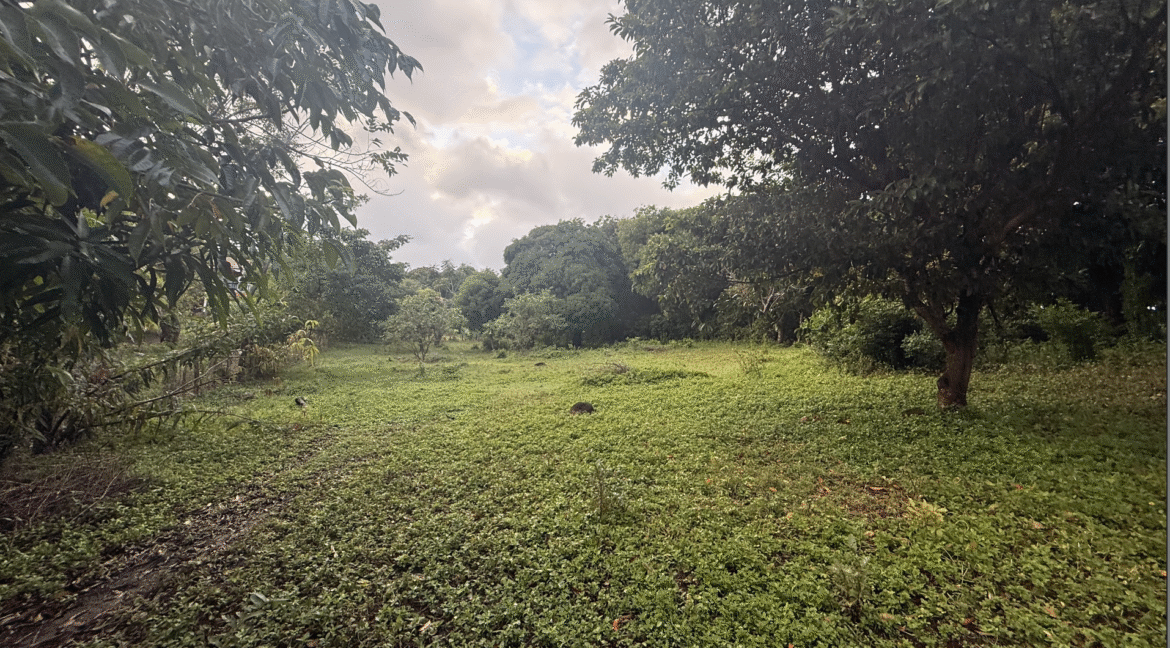 Screenshot 2026-02-23 at 11.12.16 PM