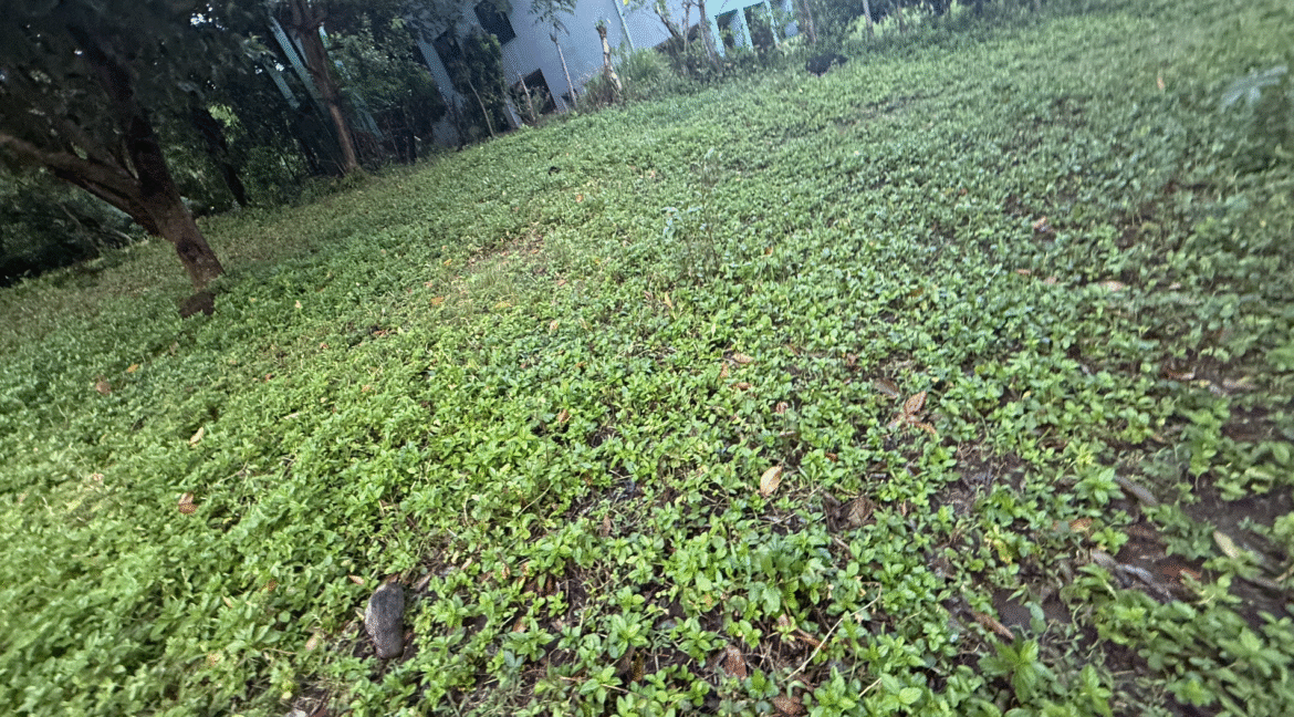 Screenshot 2026-02-23 at 11.12.32 PM