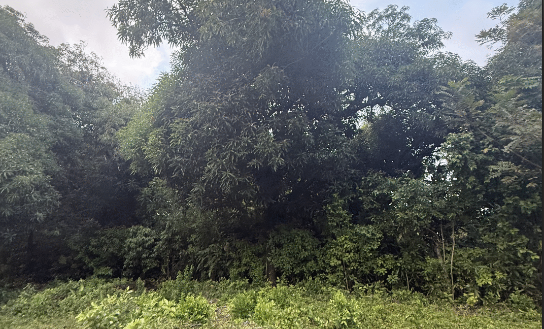 Screenshot 2026-02-23 at 11.12.46 PM