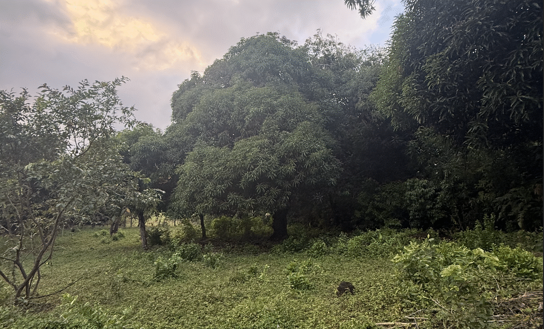 Screenshot 2026-02-23 at 11.12.57 PM