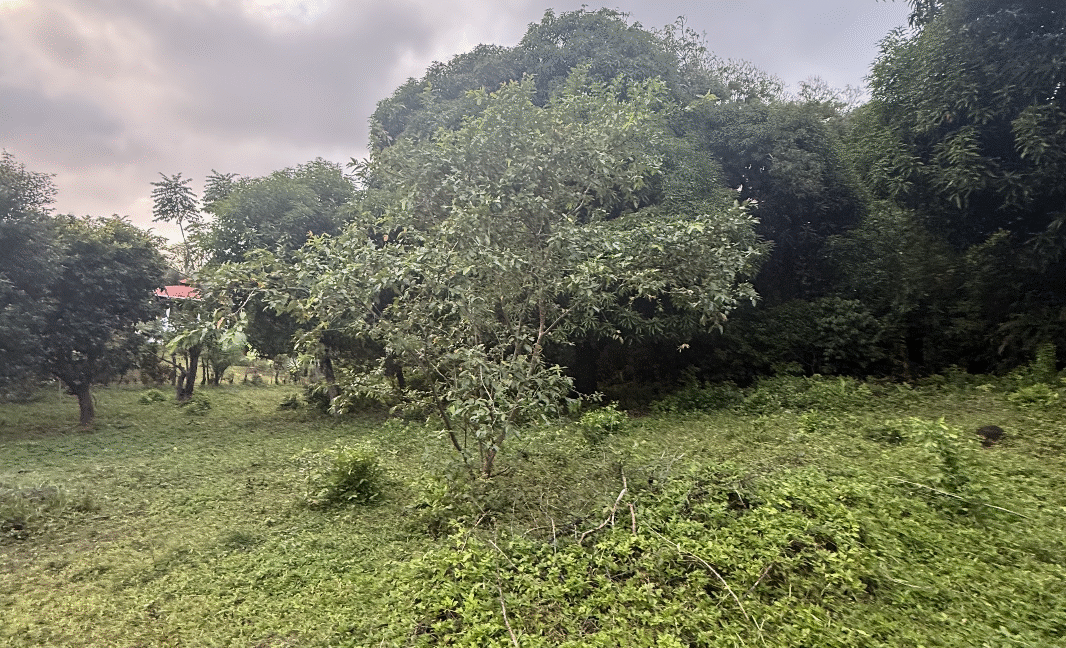 Screenshot 2026-02-23 at 11.13.09 PM