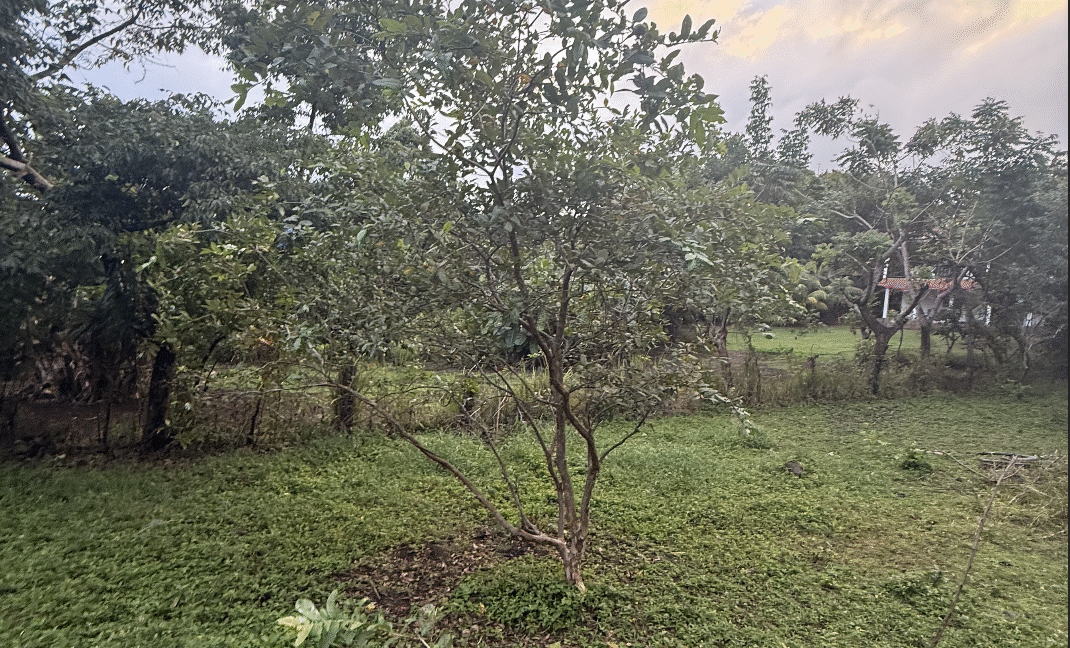 Screenshot 2026-02-23 at 11.13.20 PM