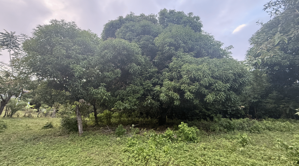 Screenshot 2026-02-23 at 11.13.33 PM