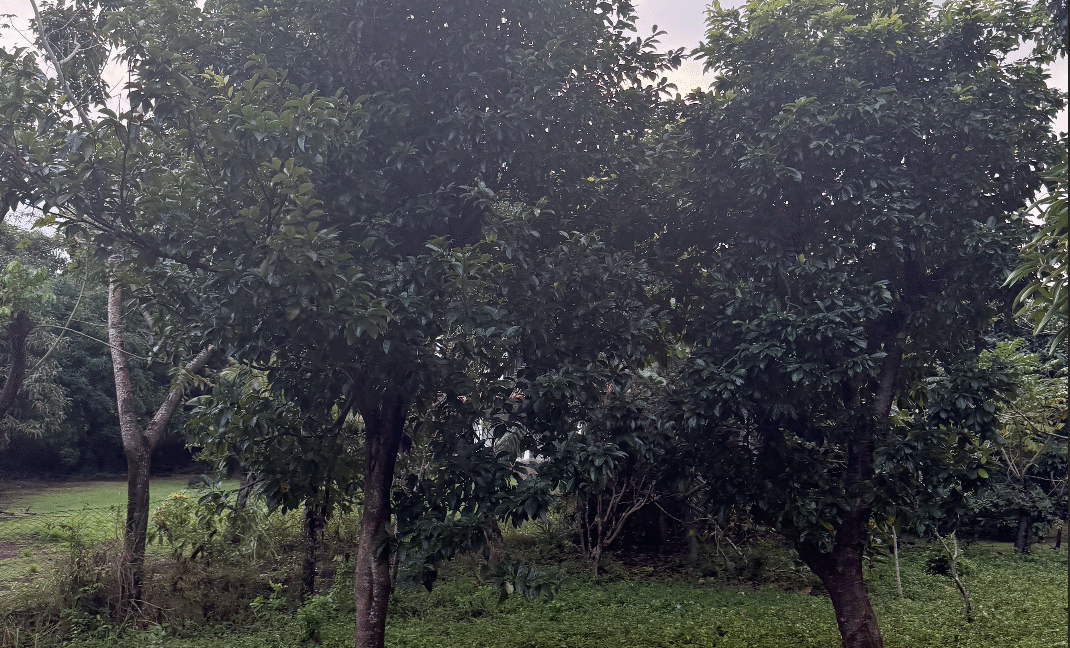 Screenshot 2026-02-23 at 11.13.44 PM