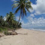 Nicaragua beachfront lots for sale in False Bluff Bluefields showing 0.31-acre beach access with mangroves and Caribbean views