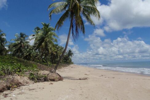 Nicaragua beachfront lots for sale in False Bluff Bluefields showing 0.31-acre beach access with mangroves and Caribbean views