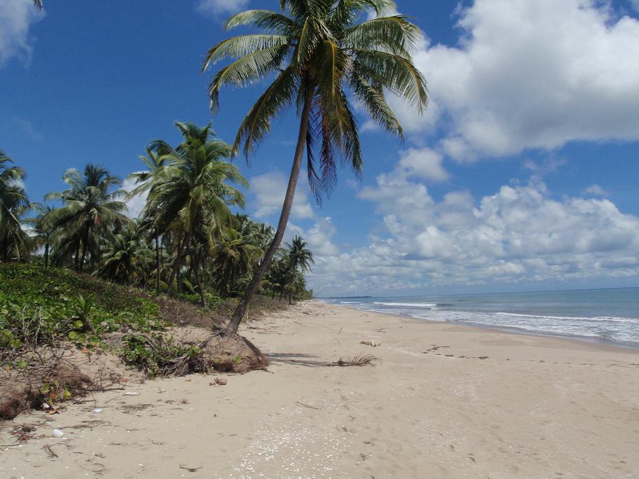 Nicaragua beachfront lots for sale in False Bluff Bluefields showing 0.31-acre beach access with mangroves and Caribbean views