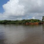 Aerial view of Nicaragua island for sale Bluefields in the lagoon with mangrove forest and boat access