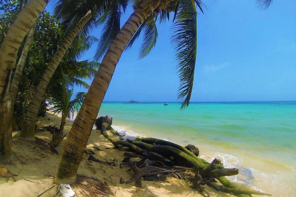 Sandy beach and palms near Corn Island Lighthouse on Little Corn Island Nicaragua