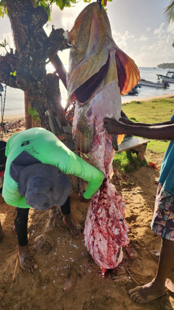 Corn Island Tours Fishing