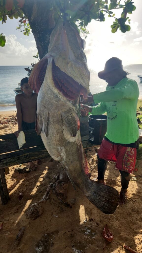 Corn Island Tours Fishing