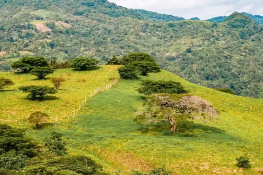 Colinas verdes de las tierras altas y pastos cerca de Estelí, Nicaragua.