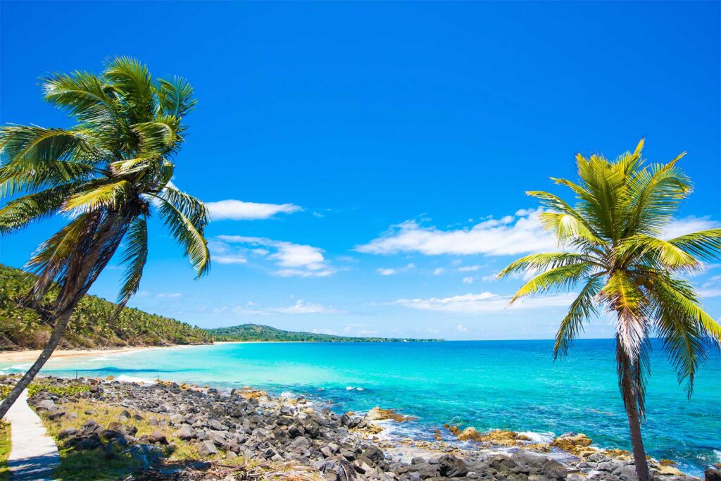 Corn Islands Nicaragua Palm Trees on the beach overlooking the pristine blue Caribbean waters