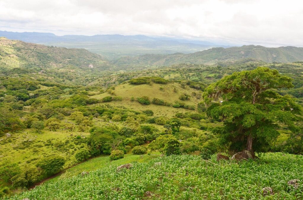 Paisajes verdes ondulados de la Reserva Natural Miraflor, cerca de Estelí, Nicaragua.