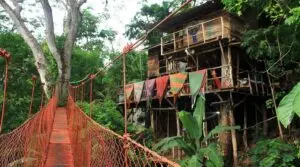 Treehouse Hostel Nicaragua